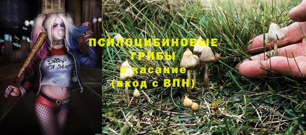 сатива Богородск